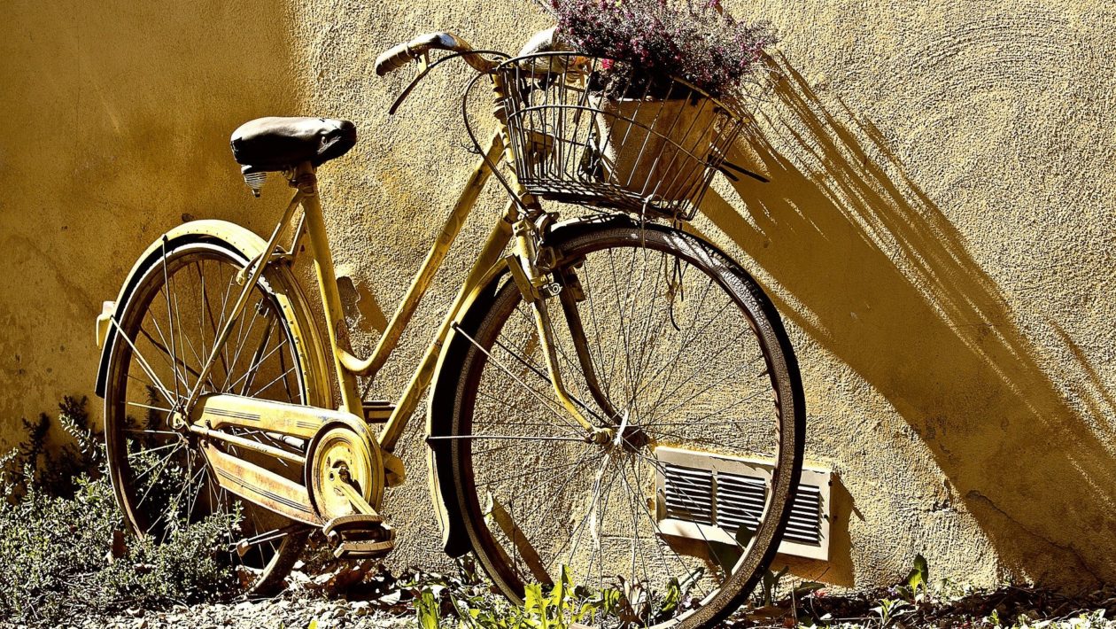 Fahrrad belastbar bis 150kg - Beste Auswahl für dich!